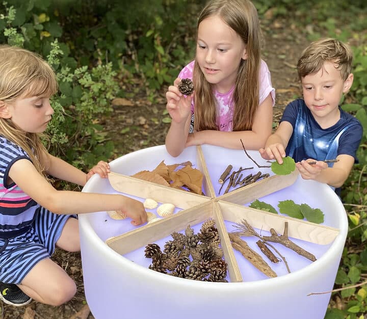 De lichttafel met daarop materialen uit de natuur zoals takken, bladeren en dennenappels.
